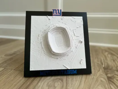 New York Giants Stadium Print