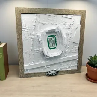 Philadelphia Eagles Stadium Print